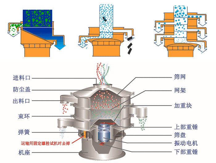 不銹鋼旋振篩結構展示：篩網(wǎng)，出料口，束環(huán)，彈簧，防塵蓋，機座等